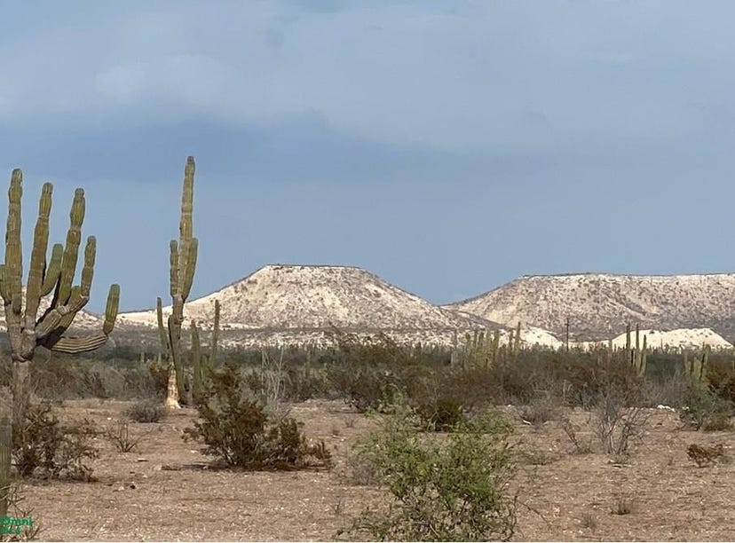 RANCHO JESUS MARIA , Reforma I, La Paz, Baja California Sur, La Paz