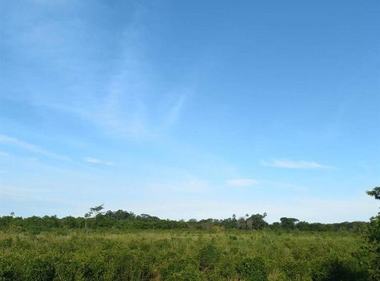 s nombre 0, Dzacabuchén, Champotón, Campeche, Campeche 24414 Land for