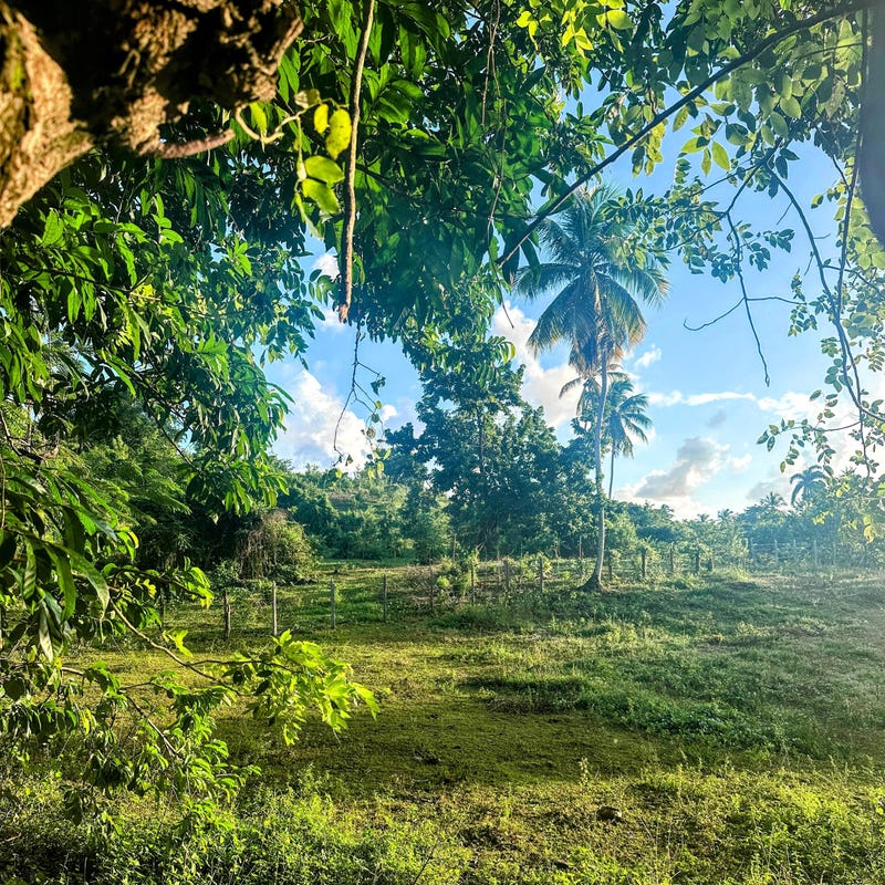 Propiedad en Las Galeras