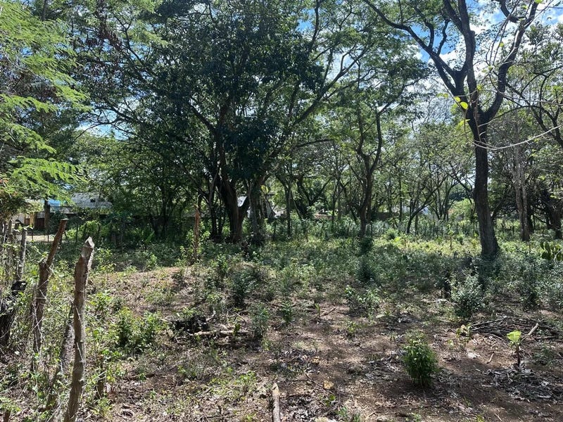 Solar en Puerto Plata, foto 2