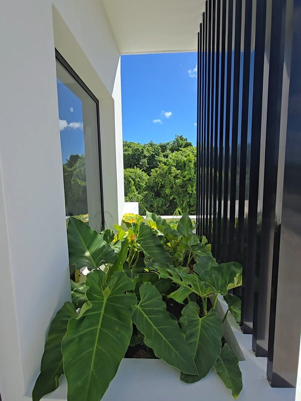 Casa en 29 C. Leucaena, foto 4