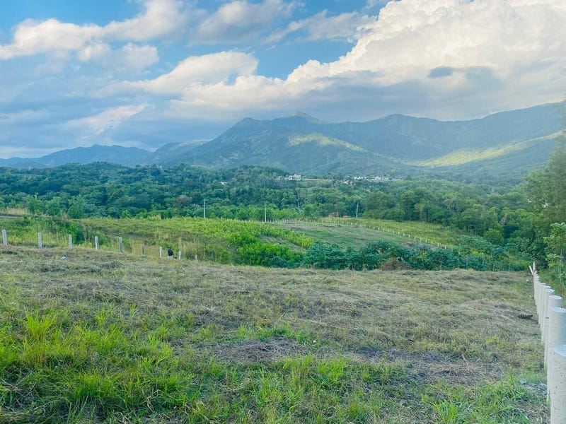 Propiedad en Sabana Mina, foto 5