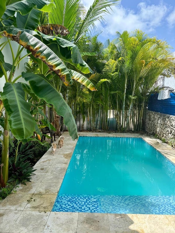 Casa en Bávaro, foto 2