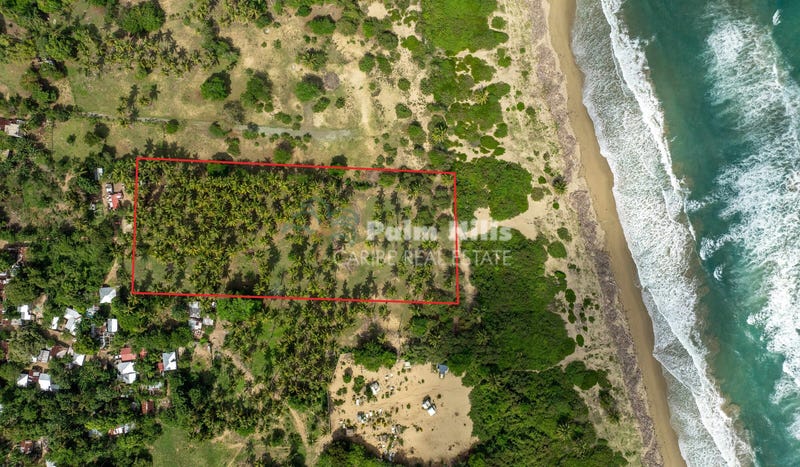 Lot in Sabaneta de Yásica