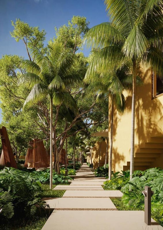 Apartamento en Las Terrenas, foto 3