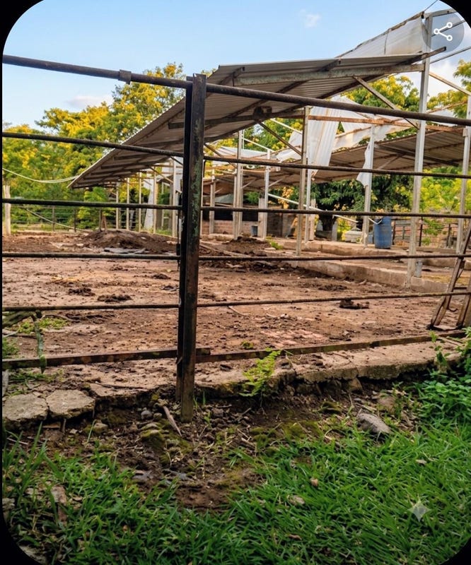 Propiedad en Sierra Prieta, foto 3