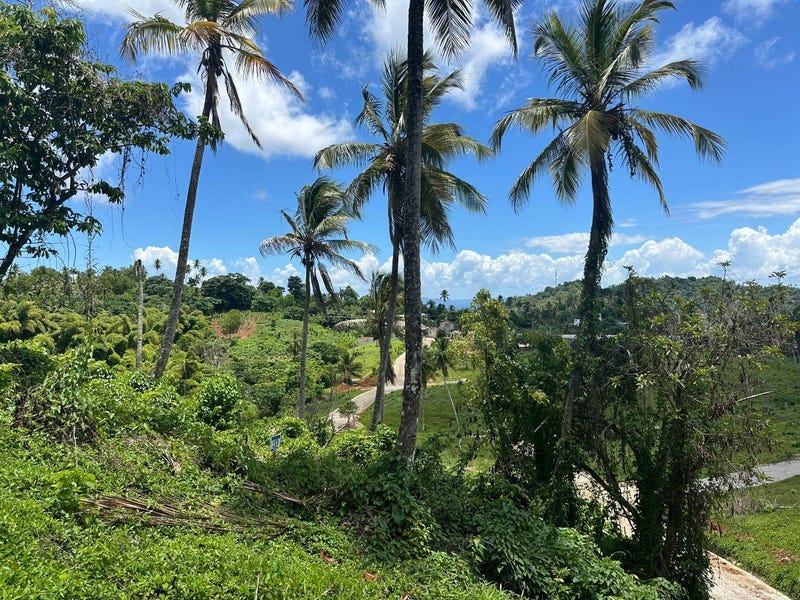 Solar en Samaná, foto 5