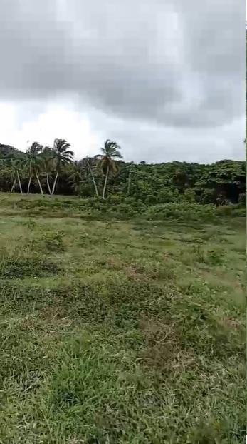 Propiedad en Playa Colorada, foto 5