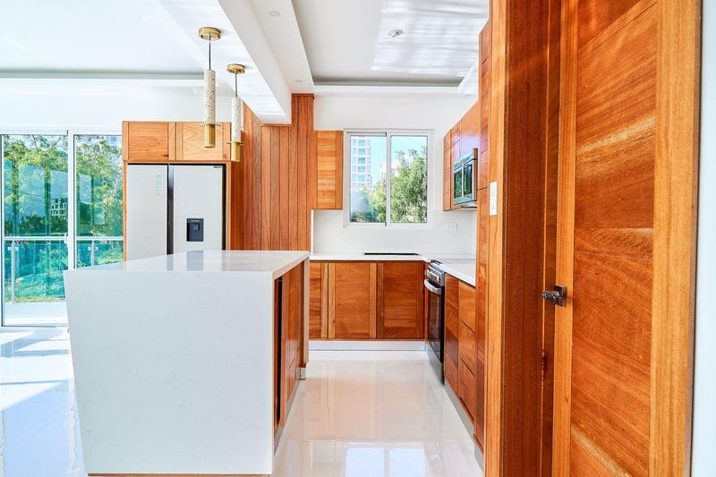 Apartamento en Urbanización Thomen, foto 5