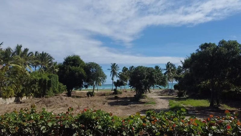 Propiedad en Punta Cana Resort & Club, foto 2