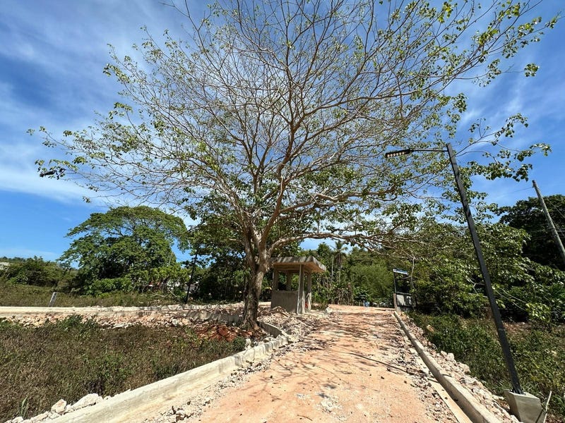 Solar en Las Galeras, foto 3