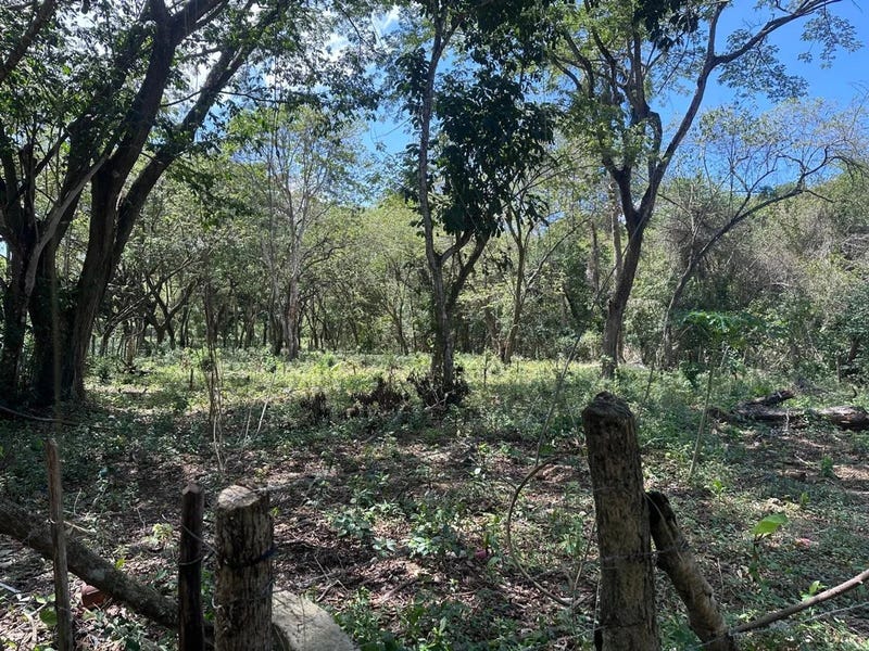 Solar en Puerto Plata, foto 4