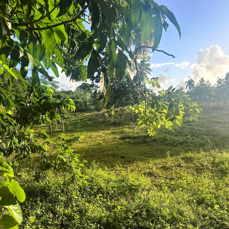 Propiedad en Las Galeras, foto 3
