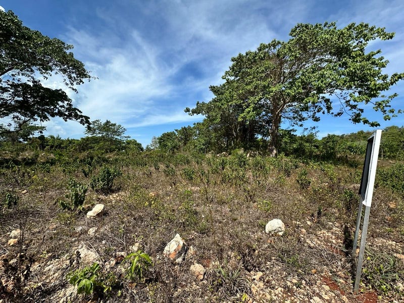 Solar en Las Galeras, foto 5
