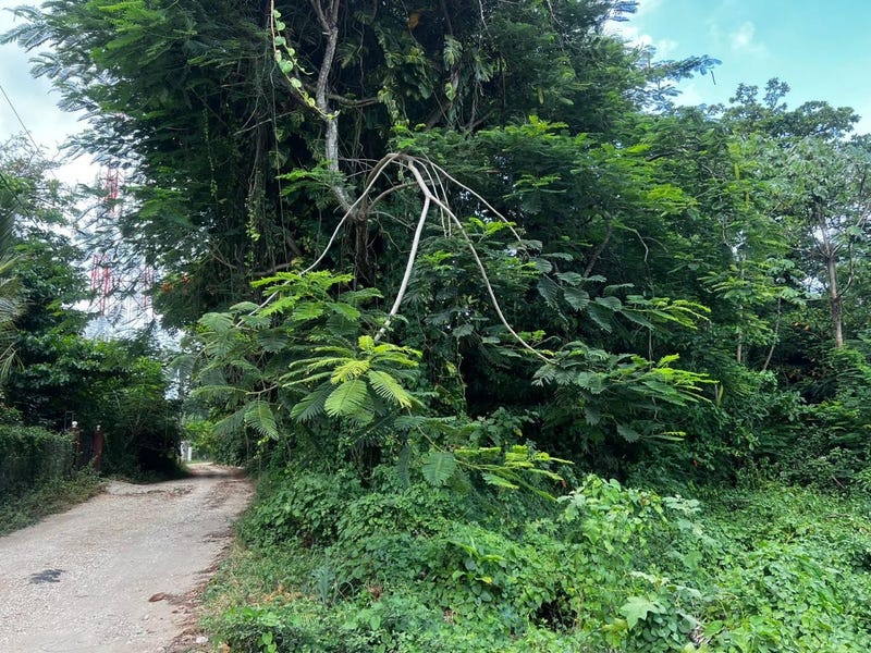 Solar en Puerto Plata, foto 3