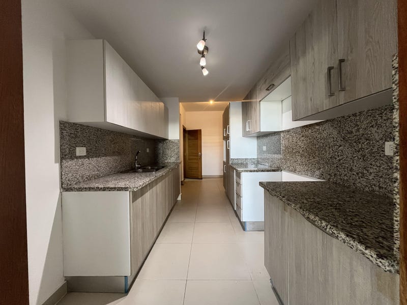 Apartamento en Gazcue, foto 4