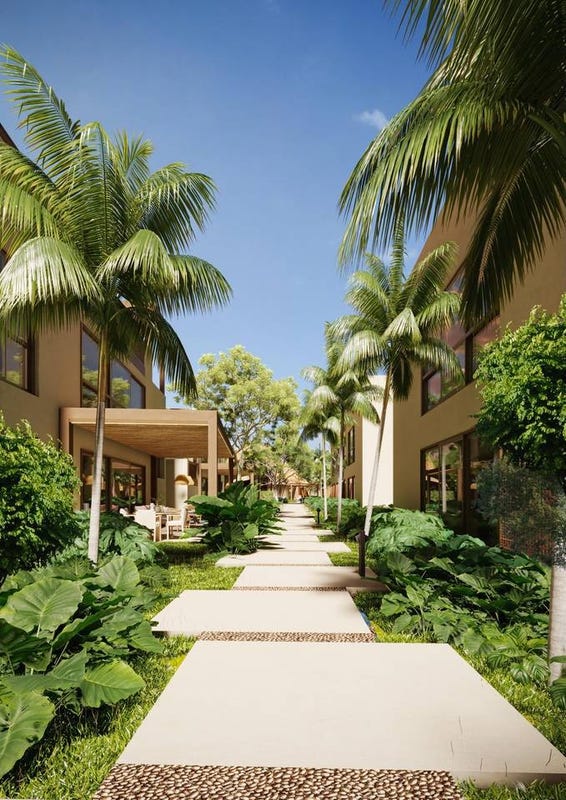 Apartamento en Las Terrenas, foto 4