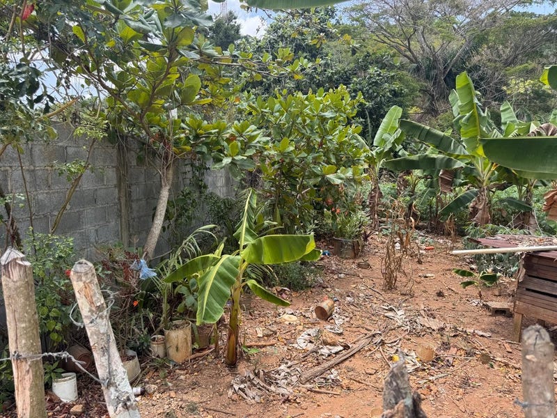 Propiedad en Ceiba Bonita, foto 4