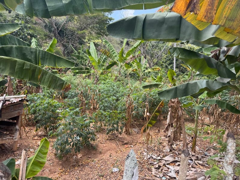 Propiedad en Ceiba Bonita, foto 3
