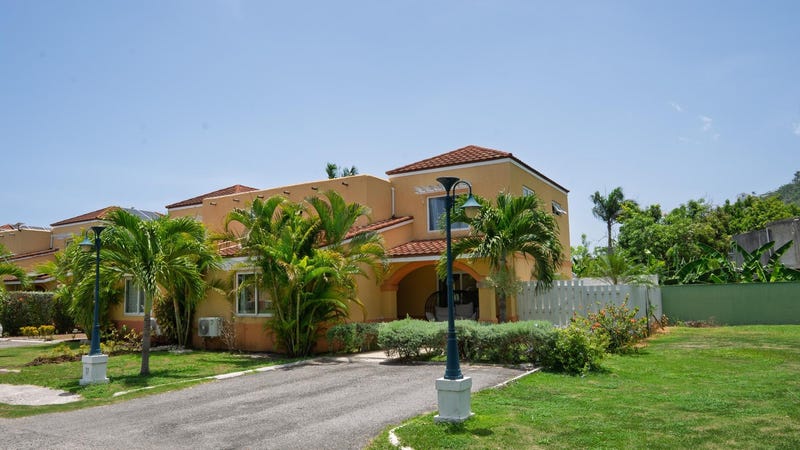 Chatam And Palms - photo 1 of 1