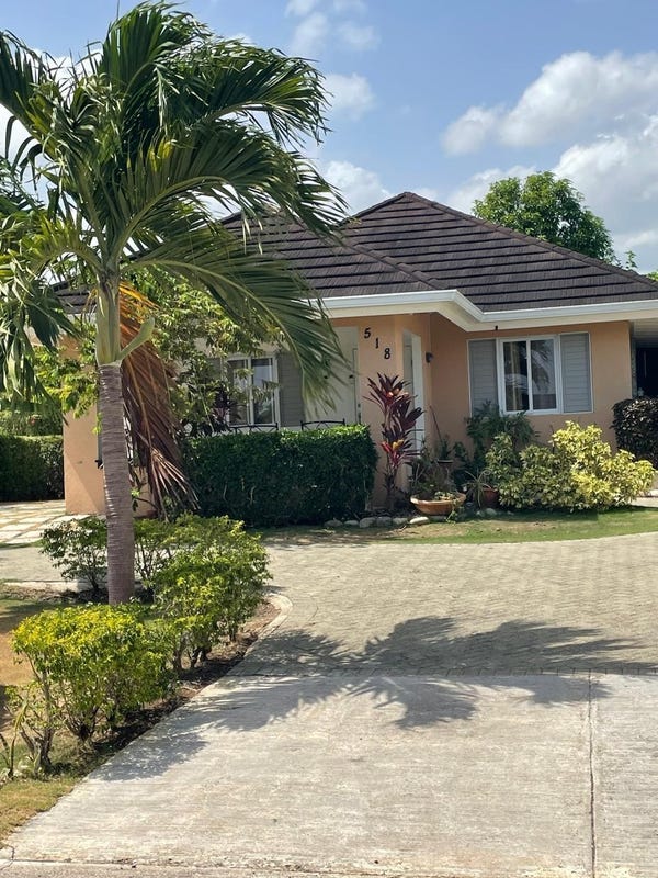 Papaya Avenue - photo 1 of 1