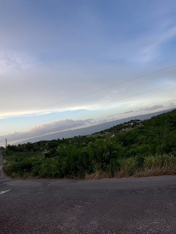 Delightful, St. Elizabeth