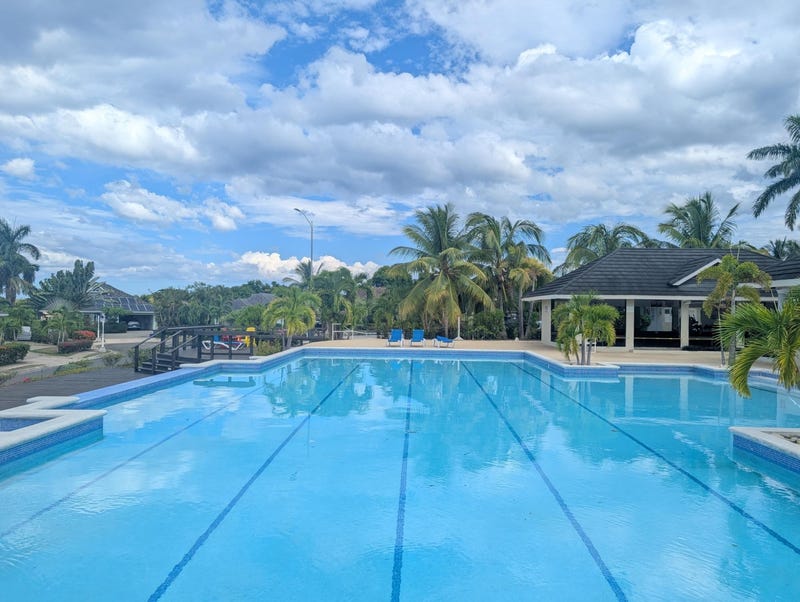 Breadfruit Avenue