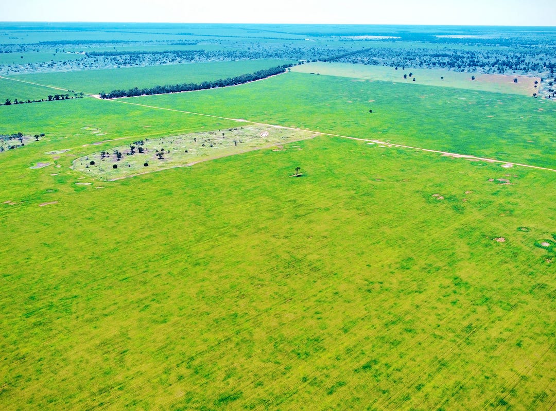 Hickeys Road, Nyngan, NSW 2825 Rural for Sale