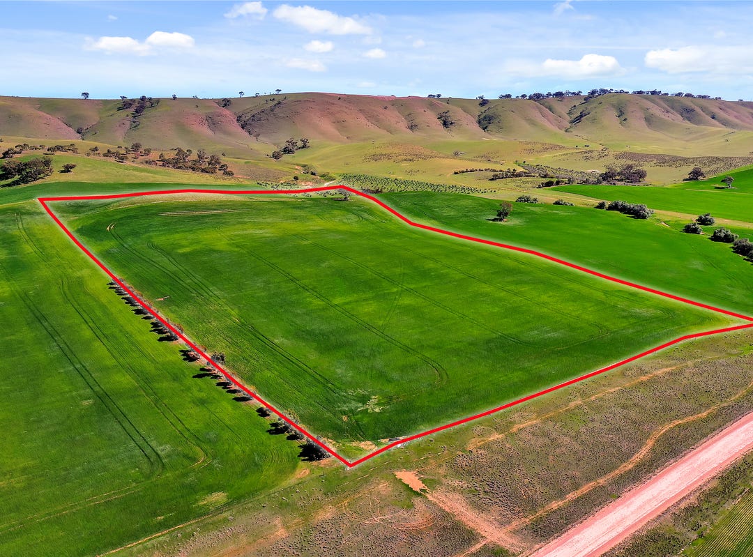 389 Stock Route Road, Robertstown, SA 5381 Rural for Sale