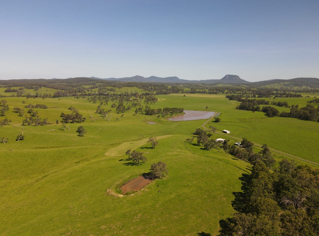 336 Grahams Creek Road, Woodenbong, NSW 2476 Rural for Sale