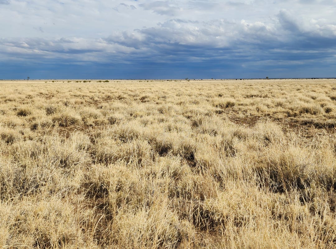 5075 Cramsie Muttaburra Road, Longreach, Qld 4730 Rural for Sale