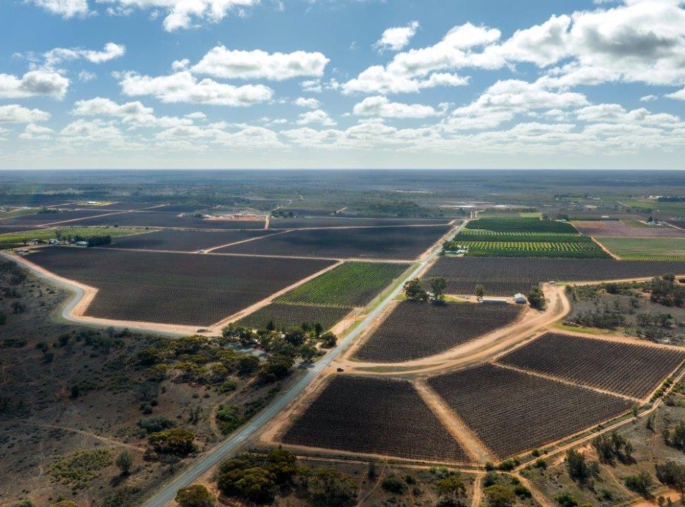 216 Hollands Lake Road, Coomealla, NSW 2717 Rural for Sale