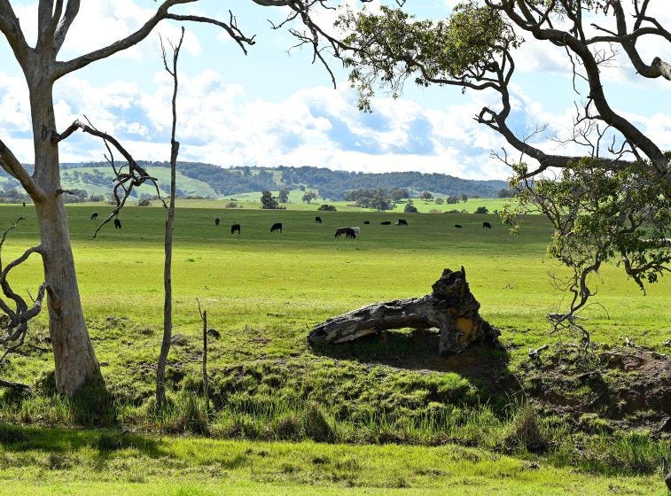 Burekup, WA 6227, Address available on request Land for Sale