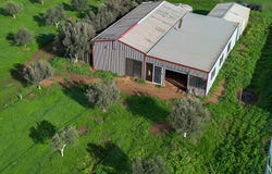 104 Schutt Road, Dublin, SA 5501