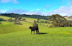 Toora North, Vic 3962