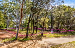 118 Wahine Drive, Russell Island, Qld 4184