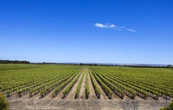 Langhorne Creek, 179 Milang Road, Belvidere, SA 5255