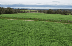 490 Bullumwaal Road, Mount Taylor, Vic 3875