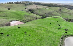 710 Korumburra - Warragul Road, Ranceby, Vic 3951