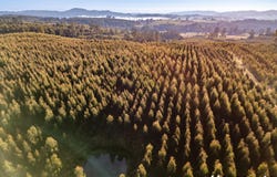 220 Holmes Road, Roland, Tas 7306