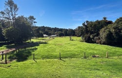 58B Pelling Close, Jaggan, Qld 4885