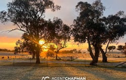 223 Wimbledon Road, Georges Plains, NSW 2795