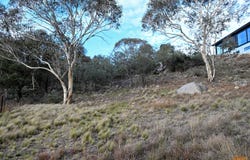 73 Kunama Drive, East Jindabyne, NSW 2627