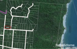 7 White Beech Road, COW BAY, Daintree, Qld 4873