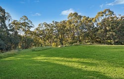 276 Carrolls Road, Menangle, NSW 2568