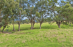 88 Mount Cobla Road, Currabubula, NSW 2342