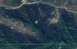1190 Ponsfords Road, Comboyne, NSW 2429