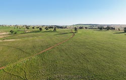 38 Tallawonga Road, Elong Elong, NSW 2831