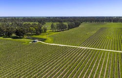 963 Rowney Road, Mundulla, SA 5270