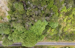 24 Crotty Street, Queenstown, Tas 7467
